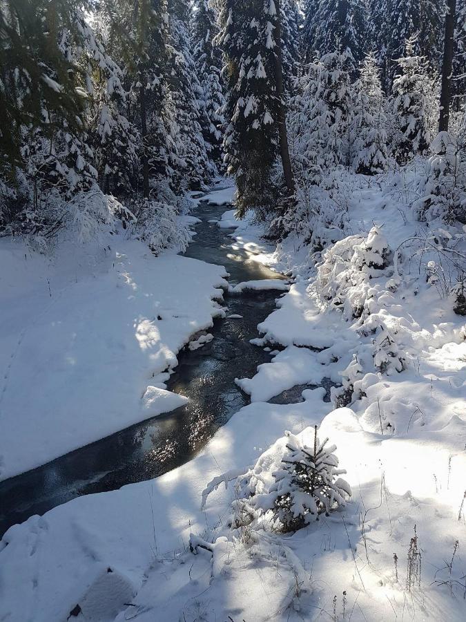 Skalny Zakatek Z Grota Solna Na Wylacznosc Lapsze Nizne Exterior photo